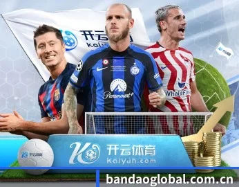 半岛综合的成长历程与未来展望