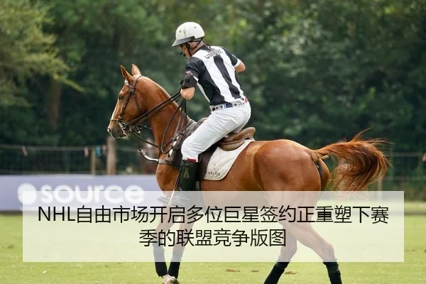 NHL自由市场开启多位巨星签约正重塑下赛季的联盟竞争版图